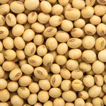 SOYA BEENS 250G